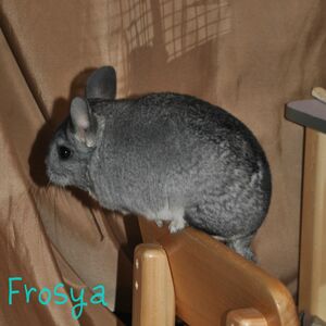 froska