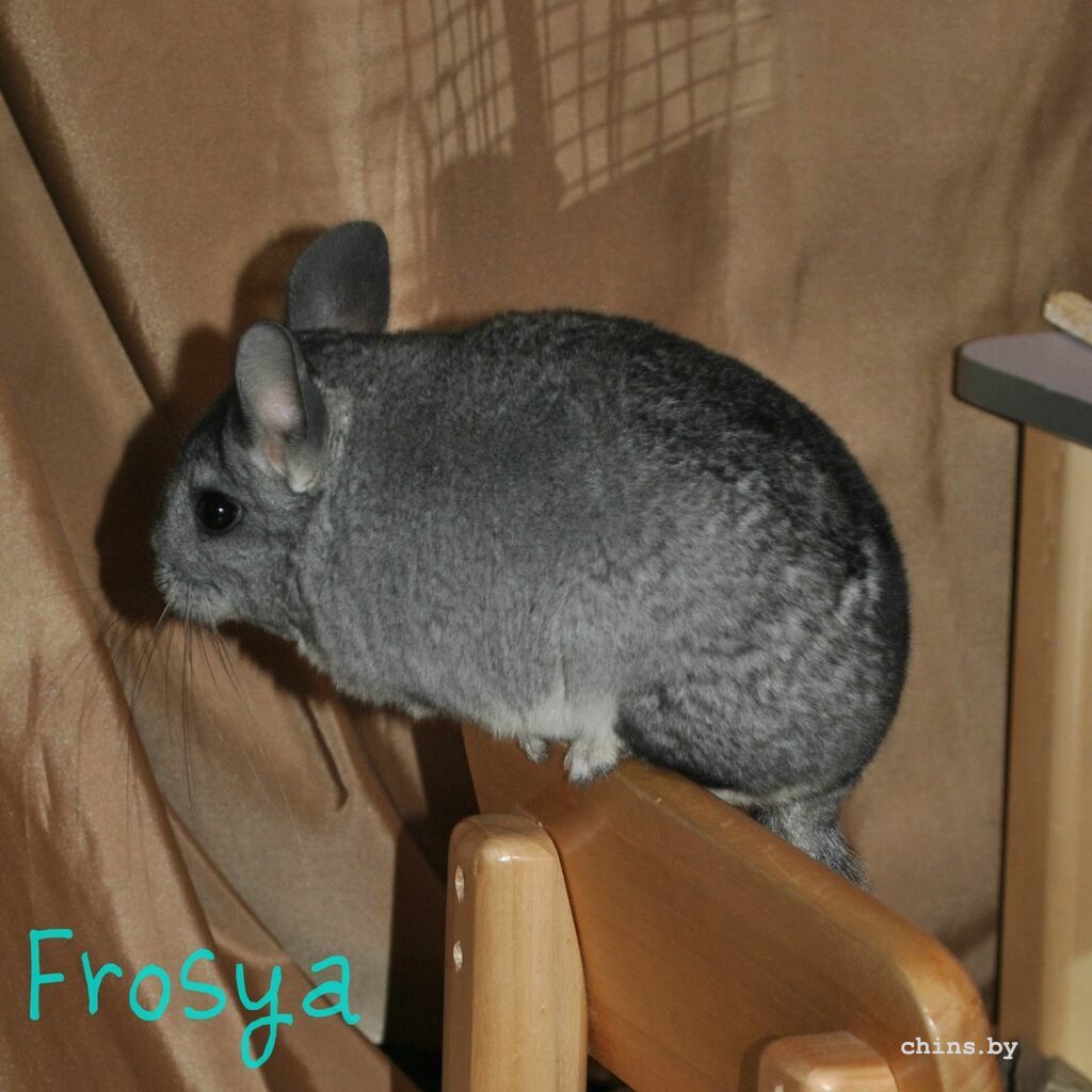 froska