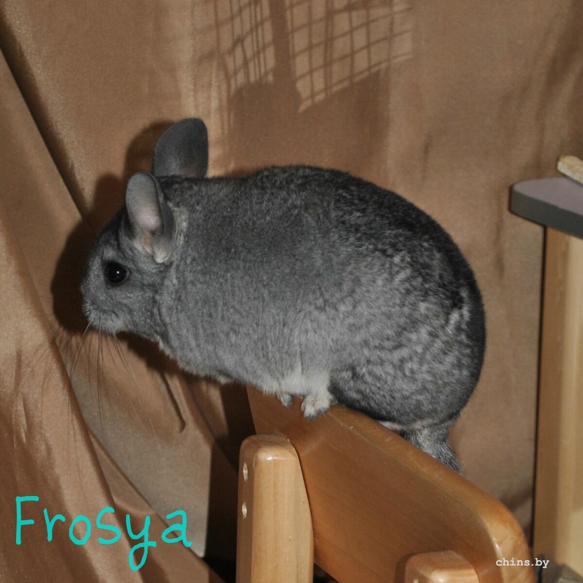 froska